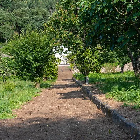 Villa Casa Da Torre Luxury In Braga