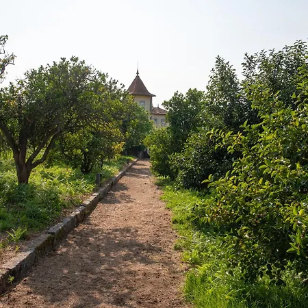 Casa Da Torre Luxury In Villa *