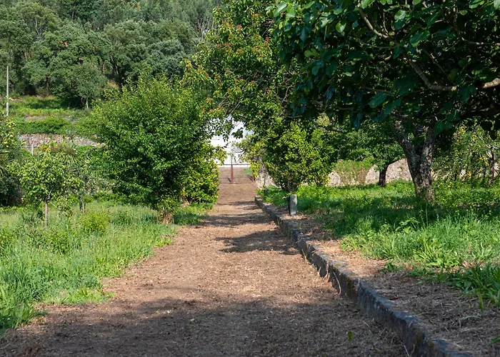 Villa Casa Da Torre Luxury In Braga